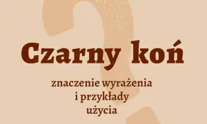 Wyjaśnij znaczenie frazeologizmów pochodzenia literackiego i ich wpływ