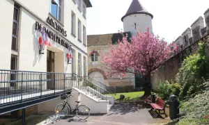 Devant les Archives départementales de l'Yonne, un cerisier en fleurs borde une allée avec un banc et une poubelle.