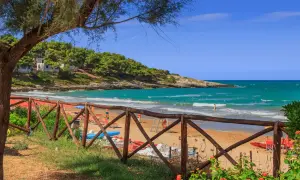 Splendida spiaggia di Crovatico con sabbia dorata, mare turchese e pineta rigogliosa. Un uomo nuota tra le onde.