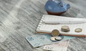 Niebieskowa świnka-skarbonka, notatnik, długopis i polskie banknoty oraz monety. Planowanie wydatków, może na zasiłek okresowy.