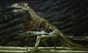 Ryba płynie obok szkieletu dinozaura w akwarium, tworząc niezwykły podwodny świat Zakopane.
