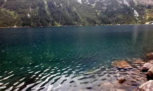 Górskie jezioro Morskie Oko, otoczone lasem i skalistymi zboczami, lśni w słońcu. Na jakiej wysokości jest Morskie Oko? Około 1395 m n.p.m.