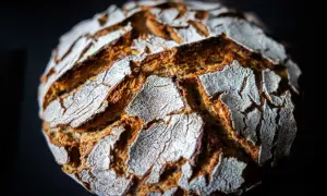 Ein rustikales Roggenmischbrot mit Sauerteig, dessen Kruste knusprig und mit Mehl bestäubt ist.