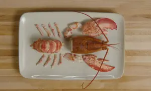 Homard décortiqué, prêt à être cuisiné. La partie non comestible, la carapace, est séparée des morceaux de chair.