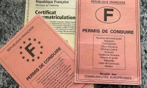 Deux permis de conduire français et un certificat d'immatriculation. L'un des permis est un "attestation de non conduite" pour la France.