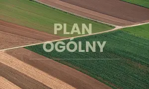 Jak sprawdzić rodzaj działki i uniknąć kosztownych błędów