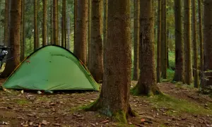Zielony namiot i rowery w lesie, gotowe na przygodę w stylu bushcraft.