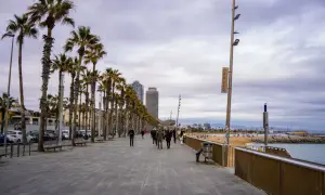 Spacerem po Barcelonie w styczniu. Czy warto? Palmy, plaża i spokojna promenada zachęcają do spacerów.