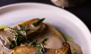 Ciechanowiec gdzie zjeść - najlepsze restauracje i lokale do odwiedzenia