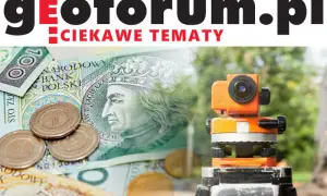 Ile kosztuje słupek graniczny? Geodeta: Ceny i ukryte koszty
