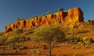 Pomarańczowe klify i pustynna roślinność w parku narodowym w Australii.