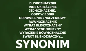 Słownik wyrazów: Odkryj znaczenia i synonimy w języku polskim