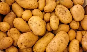 Ile kcal mają gotowane ziemniaki? Obalamy mity!