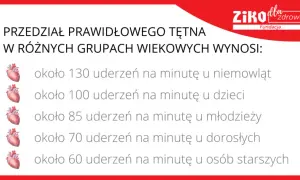 Prawidłowy puls: Normy, pomiar i sygnały alarmowe dla zdrowia