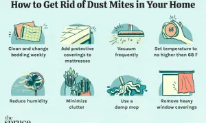 Tips on how to get rid of dust mites in mattress: clean bedding, add protective coverings, vacuum, lower temp, reduce humidity, minimize clutter, damp mop, remove heavy curtains.