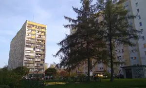 Jak dojechać do osiedla Tysiąclecia w Krakowie - najlepsze połączenia komunikacyjne