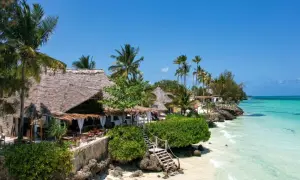 Rajskie plaże i palmy na Zanzibarze na własną rękę. Tropikalny kurort z widokiem na turkusowe morze.