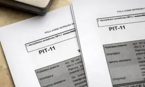 Jak rozliczyć PIT-11 z urzędu pracy i od pracodawcy bez błędów