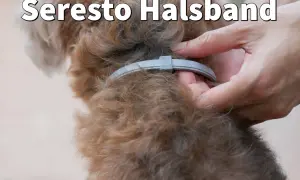 Ein Hund mit einem Seresto Halsband wird liebevoll gestreichelt.