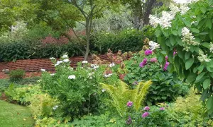 Üppiger Garten mit weißen und lila Blüten, Farnen und roten Ziegeln. Eine schöne alternative zu Hortensien.