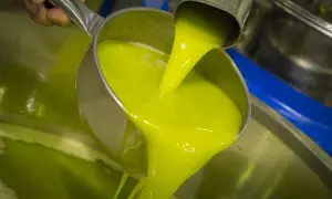 Un mestolo versa un liquido verde brillante, l'olio novello, in una vasca metallica.