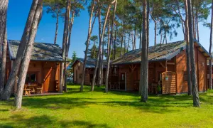 Drewniane domki letniskowe w sosnowym lesie, blisko plaży w Międzywodziu.