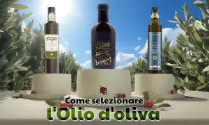 Tre bottiglie di olio di oliva vergine, su piedistalli, con testo "Come selezionare l'Olio d'oliva".
