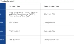 Table showing an example vaccine schedule for cats, detailing core vaccines like FVRCP and FeLV at different ages, from kittens to one-year boosters.