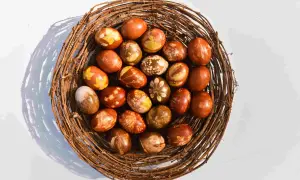 Pisanki w koszyku z gałęzi, barwione naturalnie w łupinach cebuli, z wzorami liści i kwiatów.
