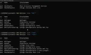 Wiersz poleceń PowerShell wyświetla listę usług sieciowych, w tym "netprofm" w stanie "Running".