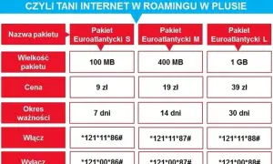 Czy trzeba włączyć roaming w Plusie, aby uniknąć wysokich kosztów?