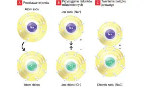 Schemat pokazuje, jak powstaje chlorek sodu (NaCl). Atom sodu oddaje elektron, tworząc jon Na+, a atom chloru go przyjmuje, tworząc jon Cl-. Następnie jony te przyciągają się, tworząc związek.