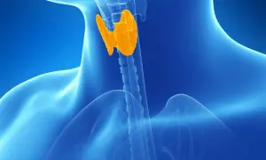 Gekleurde anatomische weergave van de schildklier, die een rol speelt bij subklinische hypothyreoïdie ervaringen.