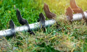 Metalowe ostrza aeratora w trawie, przygotowujące podłoże do lepszego wchłaniania składników odżywczych, kluczowych dla prawidłowej fertygacji.