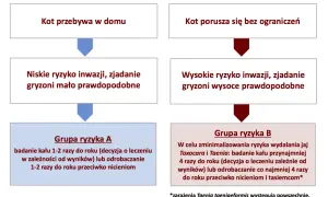 Schemat odrobaczania kota: kot domowy (niskie ryzyko) vs. kot wychodzący (wysokie ryzyko). Grupa A: badanie kału 1-2 razy/rok lub odrobaczanie. Grupa B: badanie kału 4 razy/rok lub odrobaczanie 4 razy/rok.