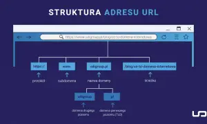 Domena internetowa: Co to, jak działa, ile kosztuje? Kompletny przewodnik
