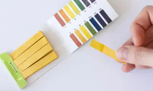Teststreifen zeigen, wie sieht fruchtwasser aus. Ein gelber Streifen wird mit einer Farbskala verglichen.