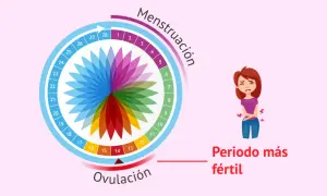 Ciclo menstrual con ovulación marcada. Una mujer se queja de dolor, quizás por el dolor ovulación.