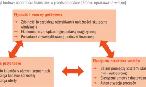 Trójkąt odporności finansowej: Płynność, Dywersyfikacja przychodów, Elastyczna struktura kosztów. Kluczowy jest kapitał zapasowy.