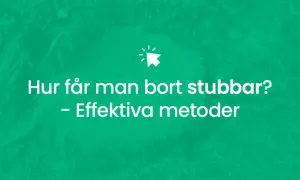 Hur får man bort stubbar? Effektiv metod för att ta bort stubbar.