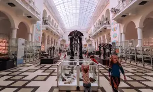 Dzieci odkrywają tajemnice prehistorii w warszawskim muzeum. Szkielety mamutów i dinozaurów budzą zachwyt.