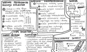 Gdzie w Afryce stosuje się rolnictwo żarowo-odłogowe i dlaczego?