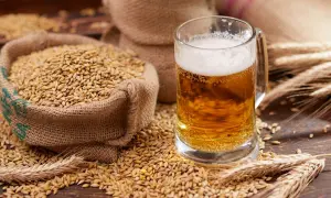 Boccali di birra dorata e sacchi di malto d'orzo, ingredienti essenziali per decidere se la birra è meglio alta o bassa fermentazione.