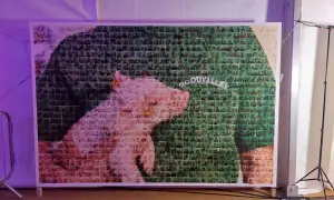Pamiątkowe zdjęcie z wielu mniejszych fotografii tworzy obraz świni. Napis "GOODVALLEY" widoczny jest na tle zieleni.