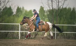 Kobieta na koniu w galopie. Zastanawiasz się, ile waży koń? Ten piękny, łaciaty rumak z pewnością ma sporą masę.