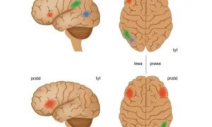 Co daje orzeczenie o dysleksji? Poznaj kluczowe korzyści dla ucznia