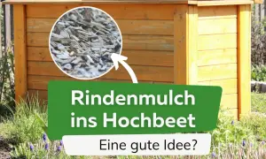Rindenmulch im Hochbeet: Eine gute Idee? Nahaufnahme von Holzspänen, die auf ein hölzernes Hochbeet zeigen.