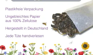Ein Beutel mit Samen, darunter Buchweizenpflanze, Sonnenblumenkerne und andere Körner, umgeben von bunten Blumen und Schmetterlingen.