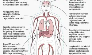 Alkoholizm to choroba psychiczna: Jak niszczy mózg i jak leczyć?