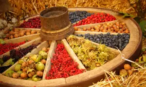 Ein Wagenrad voller Gaben: Nüsse, Beeren und Früchte, wie auf einem **herbstmarkt unterfranken** präsentiert.